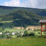 Příroda